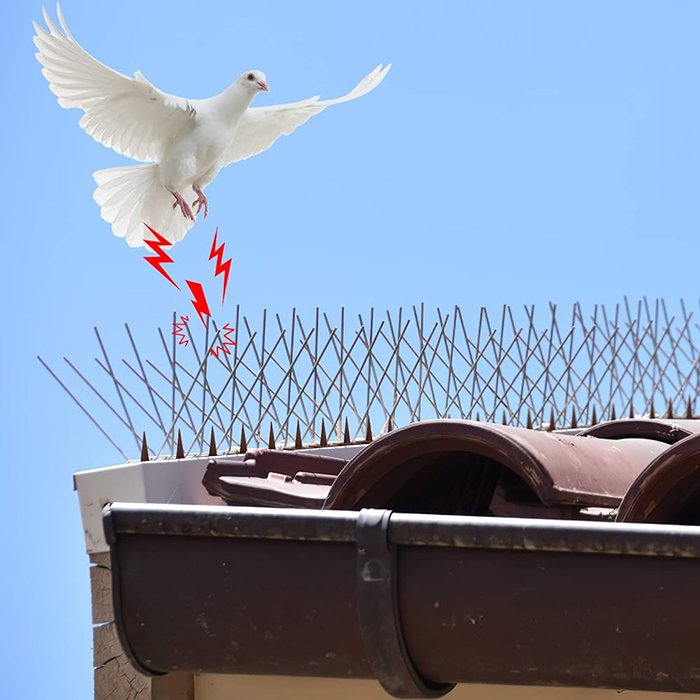 anti pigeon balcon - société de Dépigeonnage à Casablanca